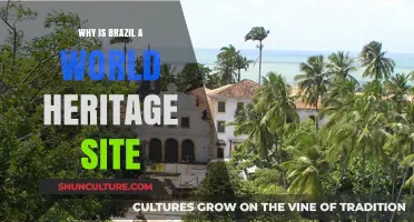 Brazil's Cultural and Natural Treasures: A UNESCO World Heritage Journey
