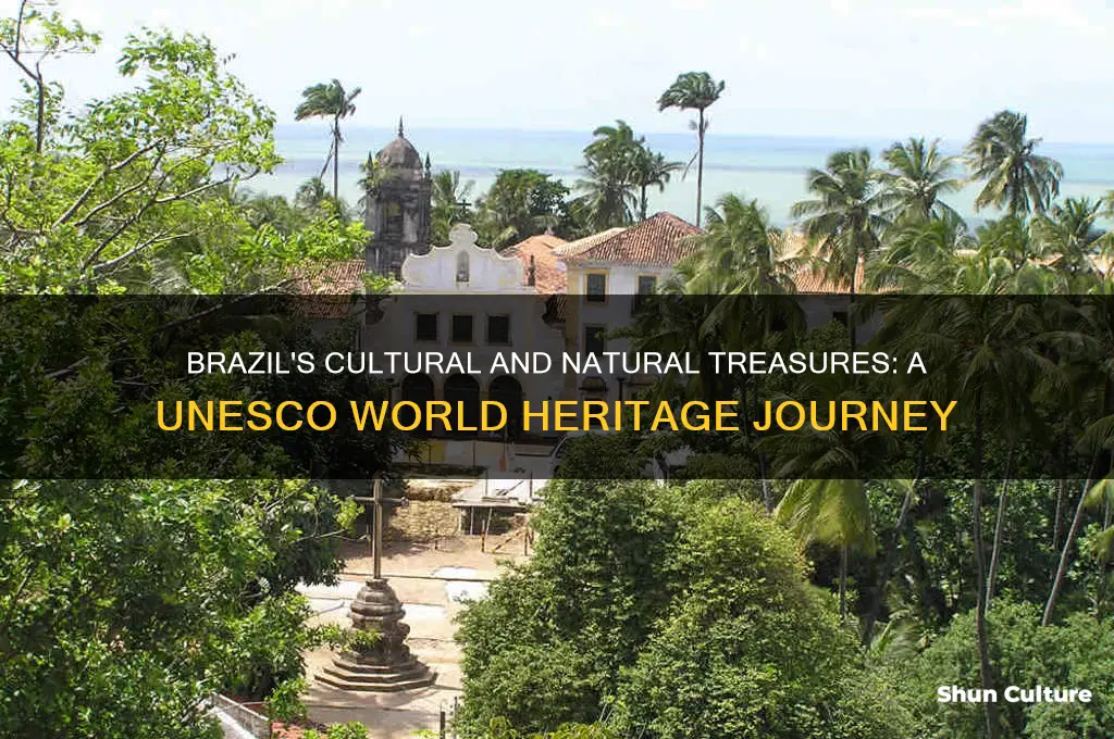 why is brazil a world heritage site