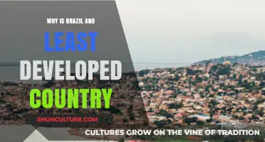Brazil's Economic Paradox: Understanding Its Least Developed Country Status