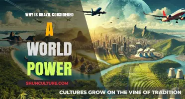 Brazil's Global Influence: Unpacking Its Rise as a World Power