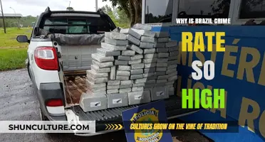 Understanding Brazil's High Crime Rate: Causes and Complexities