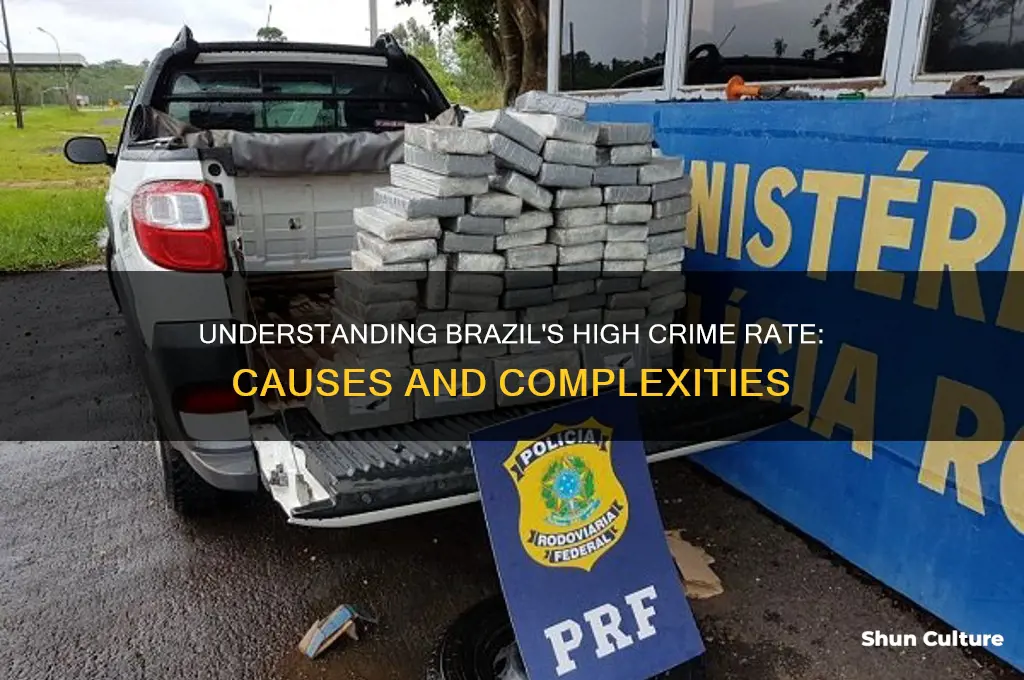 why is brazil crime rate so high