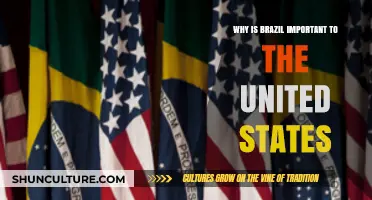 Brazil's Strategic Role in U.S. Economic and Geopolitical Interests