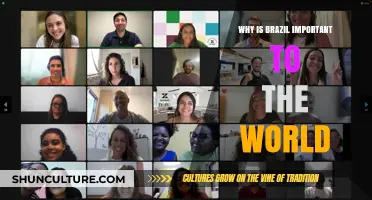 Brazil's Global Impact: Culture, Economy, and Environmental Leadership Explained