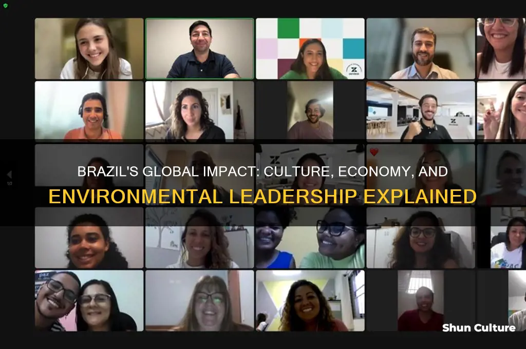why is brazil important to the world