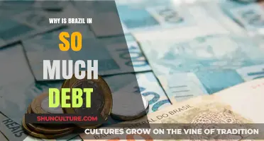 Brazil's Debt Crisis: Unraveling the Economic Challenges and Causes