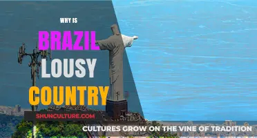 Brazil's Struggles: Unraveling the Challenges Behind Its Negative Reputation