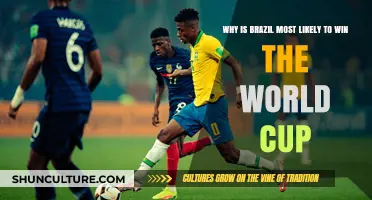 Brazil's World Cup Edge: Talent, Tactics, and Tournament Legacy