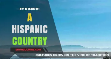 Brazil's Unique Identity: Why It's Not Classified as Hispanic
