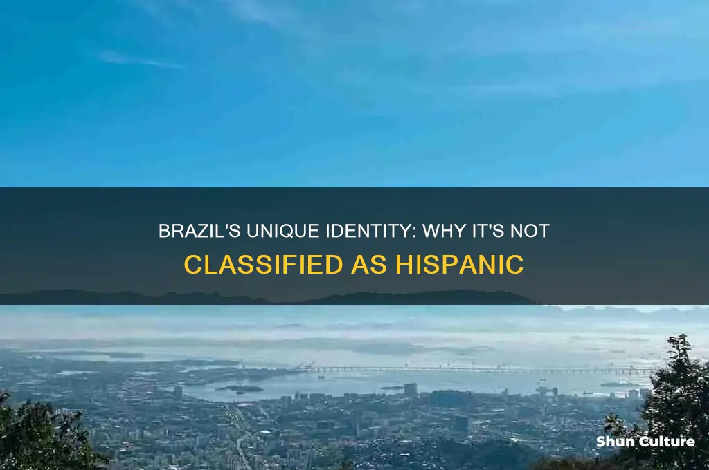 why is brazil not a hispanic country