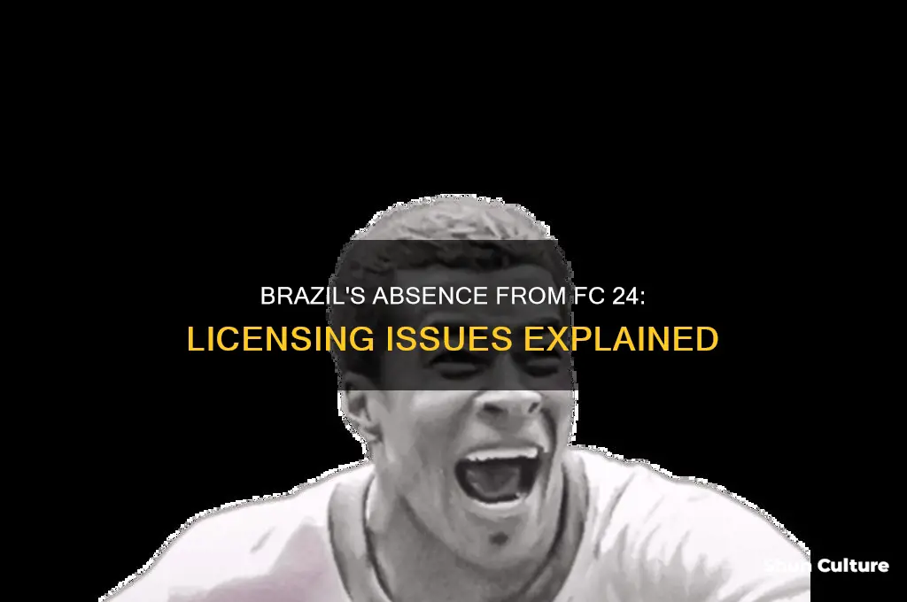 why is brazil not in fc 24