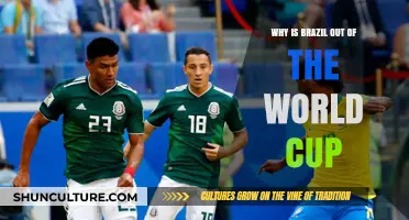 Brazil's Shocking World Cup Exit: Analyzing the Reasons Behind the Defeat