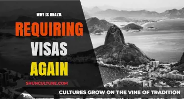 Brazil Reinstates Visa Requirements: Reasons Behind the Policy Shift