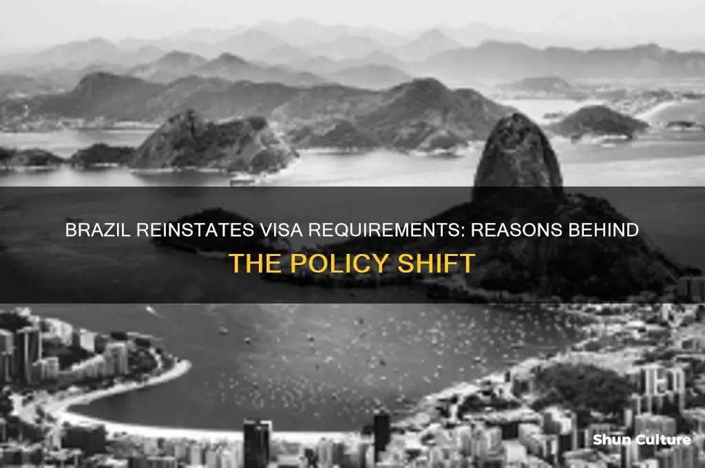 why is brazil requiring visas again