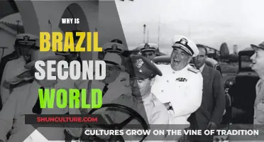 Brazil's Economic and Social Realities: Understanding Its Second World Status