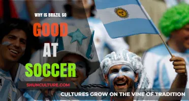 Brazil's Soccer Dominance: Culture, Talent, and Winning Legacy Explained