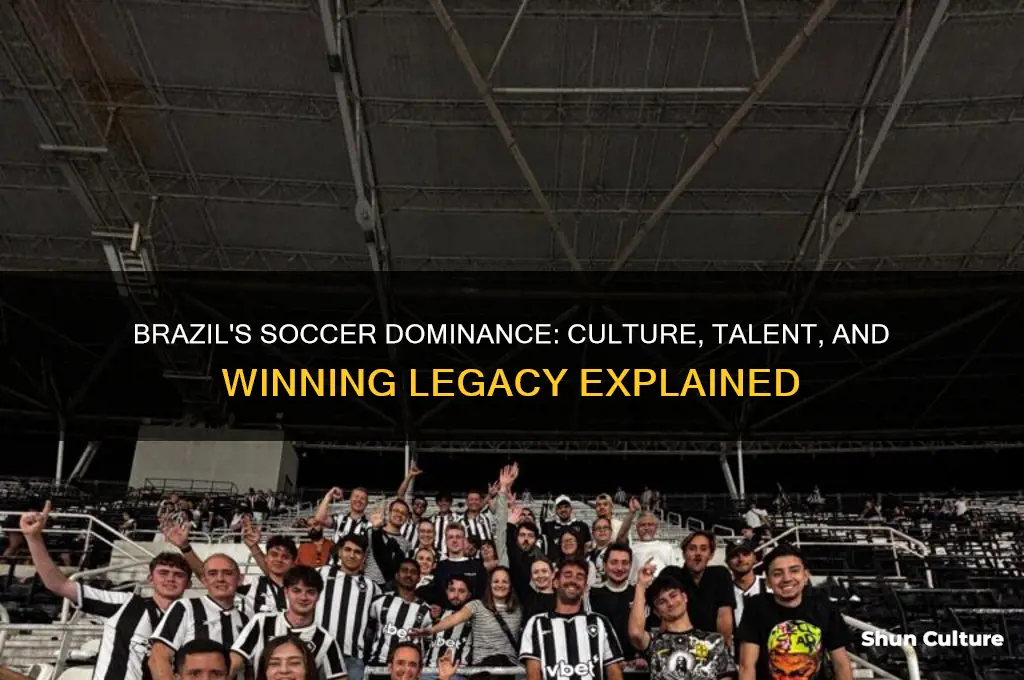 why is brazil so good at soccer