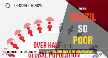 Brazil's Poverty Paradox: Unraveling the Economic and Social Factors