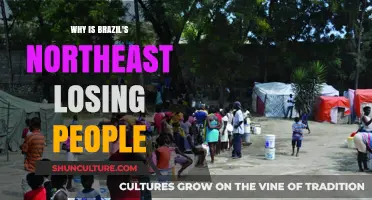 Brazil's Northeast Exodus: Unraveling the Causes of Population Decline