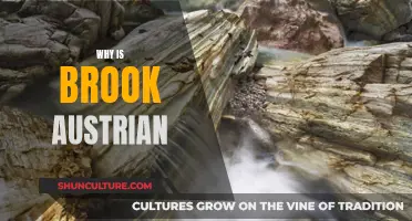 Unraveling the Mystery: Why Brook is Austrian