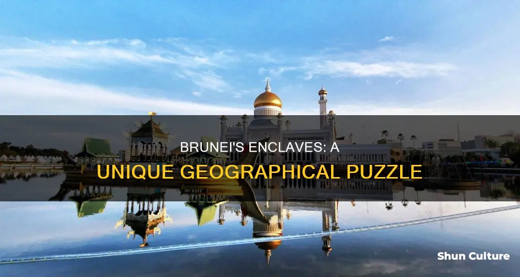 why is brunei excalves