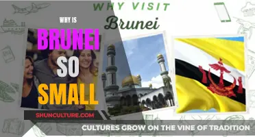 The Enigmatic Small Size of Brunei: Why?