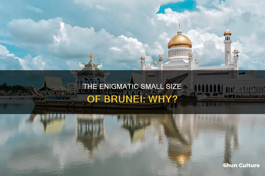 why is brunei so small