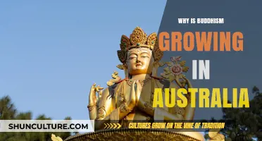 Buddhism's Growth in Australia: A Cultural Shift