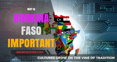 Unlocking Africa's Potential: The Strategic Importance of Burkina Faso