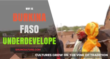 Unraveling the Complexities: Why Burkina Faso Faces Development Challenges