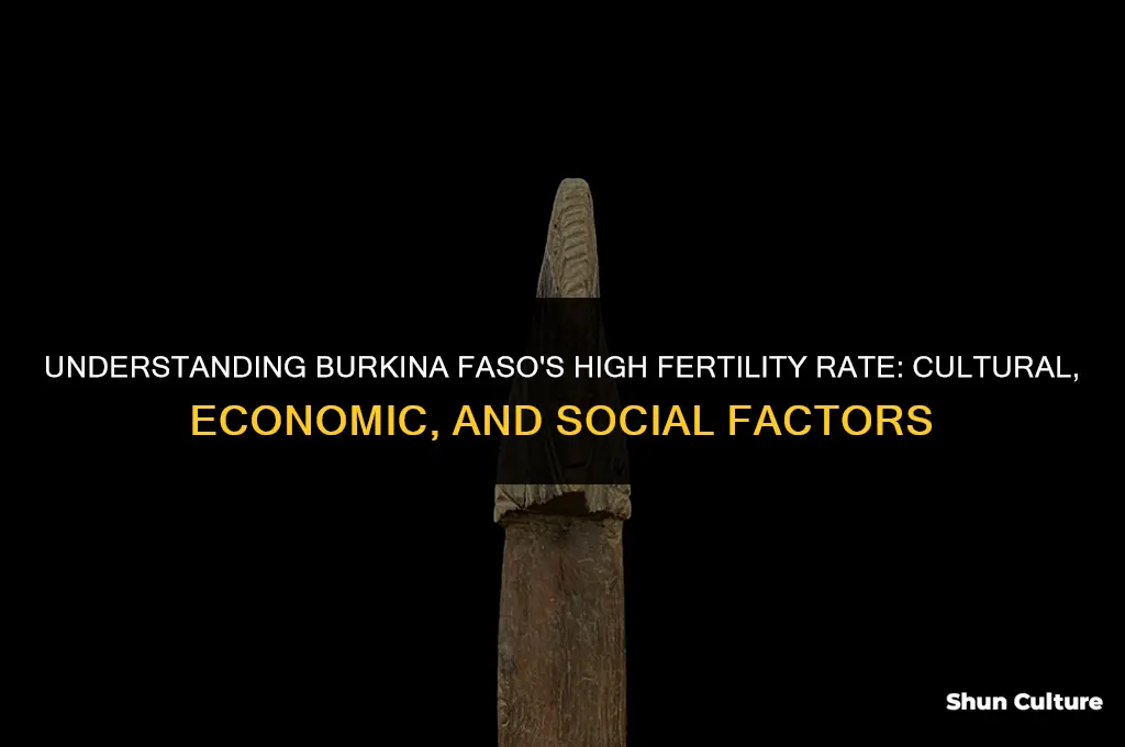 why is burkina faso