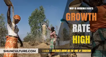 Economic Boom in Burkina Faso: Unraveling the Secrets Behind Its High Growth Rate