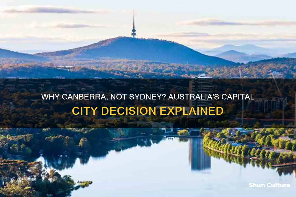 why is canberra the capital of australia and not sydney