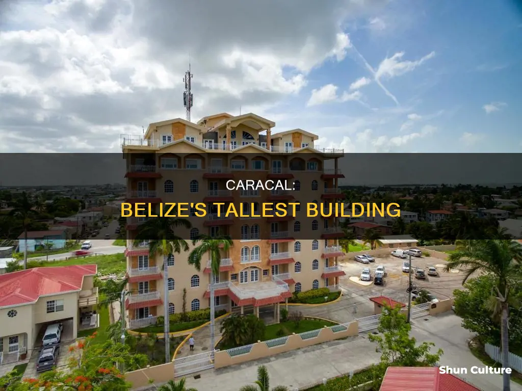 why is caracal the tallest building in belize