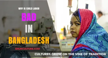 Child Labor in Bangladesh: Devastating Impacts and Urgent Need for Change