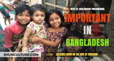 Childhood Pneumonia in Bangladesh: A Critical Public Health Priority
