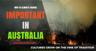 Climate Change: Australia's Urgent Priority