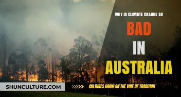 Australia's Climate Change Crisis: What's the Damage?
