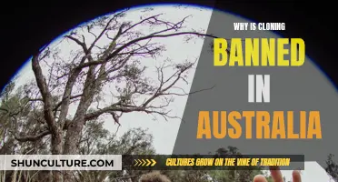 Cloning Outlawed in Australia: Exploring the Ethical Debate