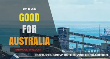 Australia's Coal Advantage: Energy Security and Economic Growth