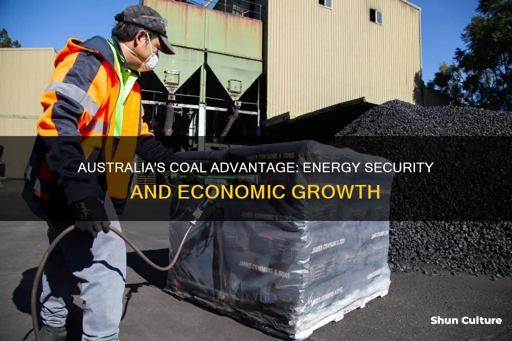 why is coal good for australia
