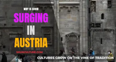 Austria's COVID Surge: Understanding the Country's Unique Circumstances