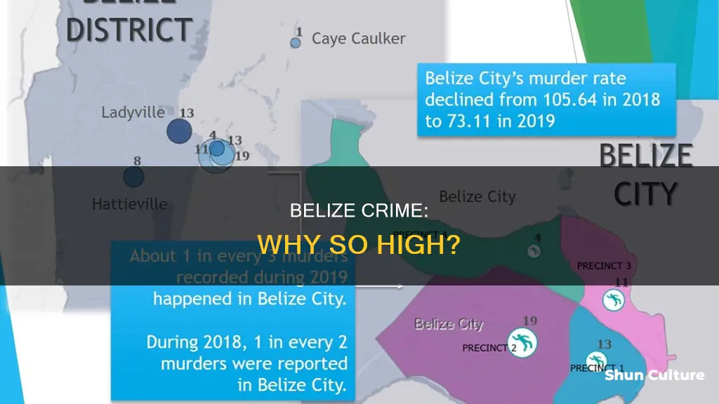 why is crime so high in belize