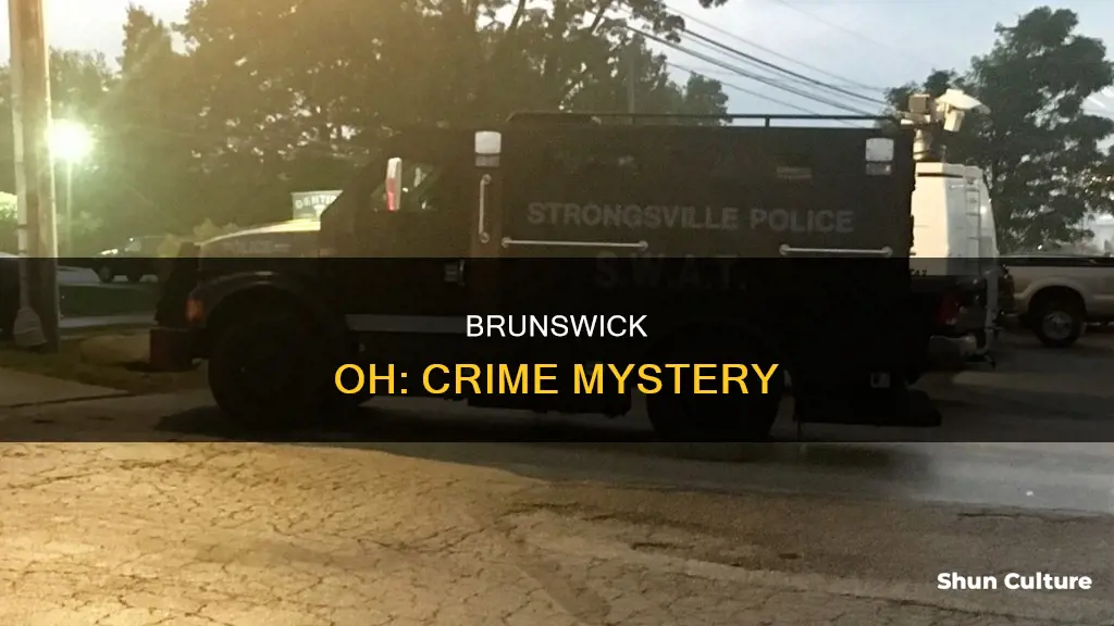why is crime so high in brunswick oh