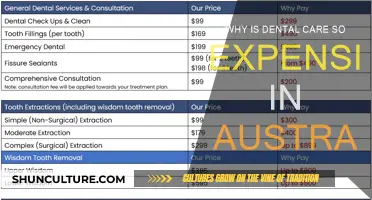 Dental Care Costs: Australia's Expensive Reality