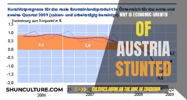 Austria's Stunted Growth: Economic Factors and Challenges