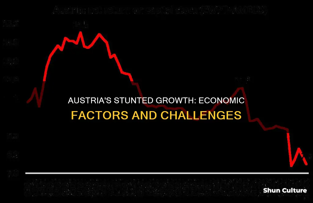 why is economic growth of austria stunted