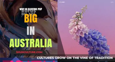 Electro-Pop's Aussie Reign: Why the Obsession?