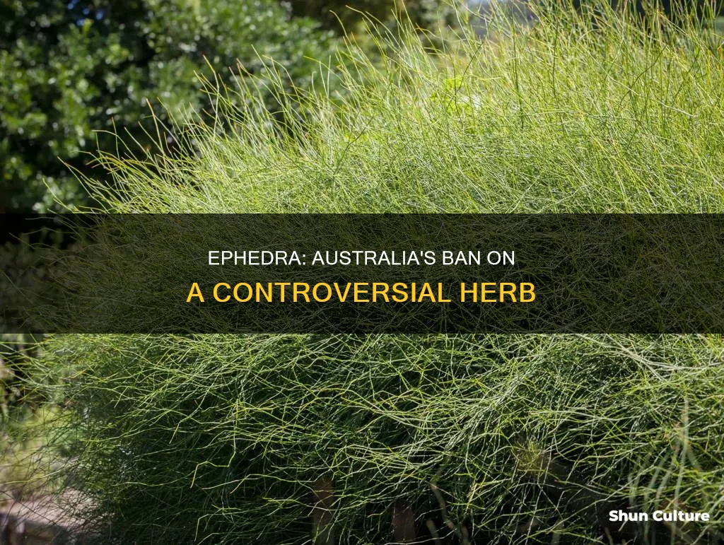 why is ephedra banned in australia