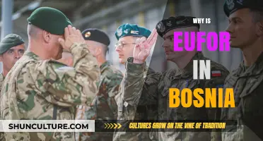 EUFOR's Role in Bosnia: Ensuring Peace and Stability in the Balkans